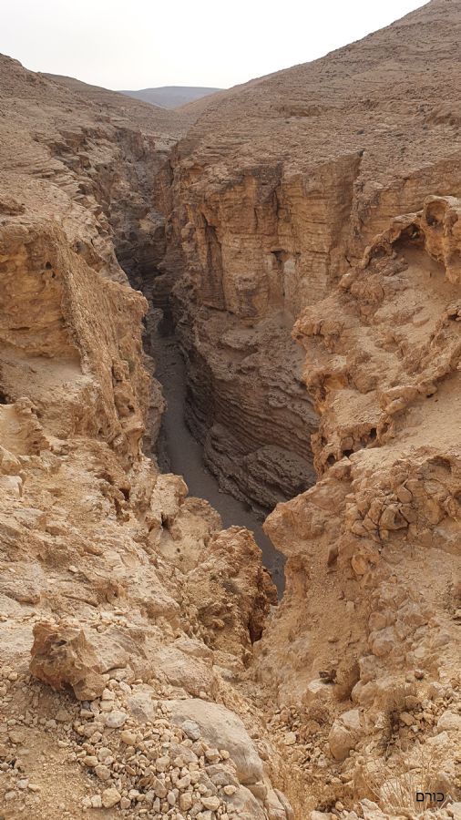 הדרך לגבי חווה